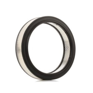 Air Filter - RIDEX 8A0009