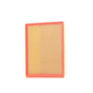Air Filter - RIDEX 8A0079