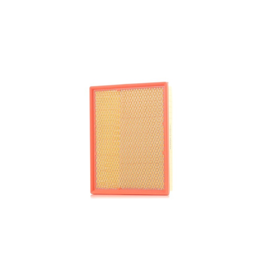 Air Filter - RIDEX 8A0079