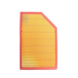 Air Filter - RIDEX 8A0170