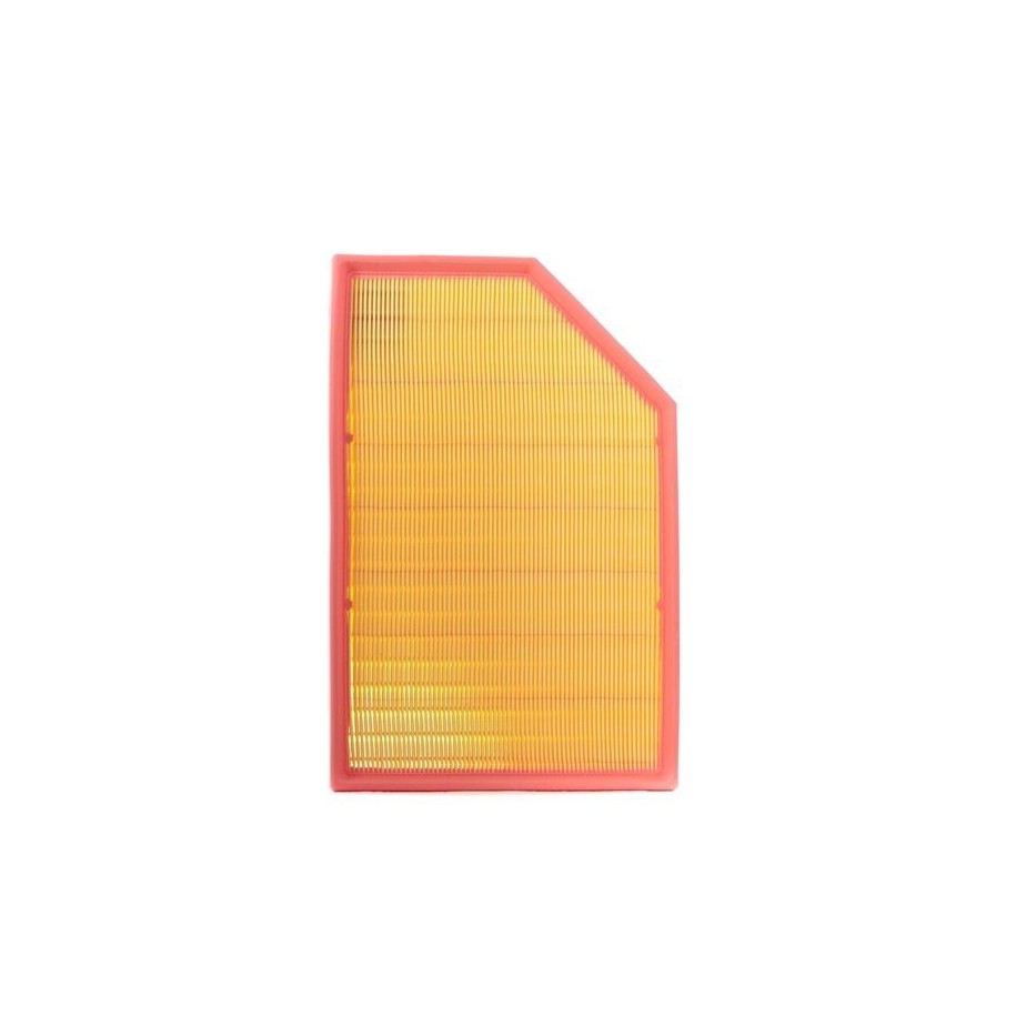 Air Filter - RIDEX 8A0170