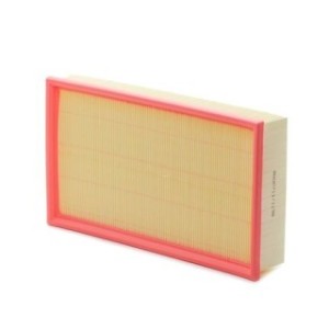 Air Filter - RIDEX 8A0065