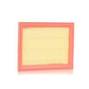 Air Filter - RIDEX 8A0043