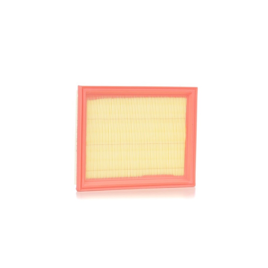 Air Filter - RIDEX 8A0043