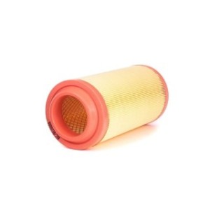 Air Filter - RIDEX 8A0031
