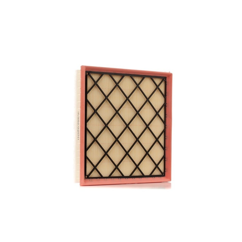 Air Filter - RIDEX 8A0171