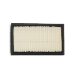 Air Filter - RIDEX 8A0118