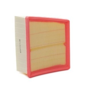 Air Filter - RIDEX 8A0250