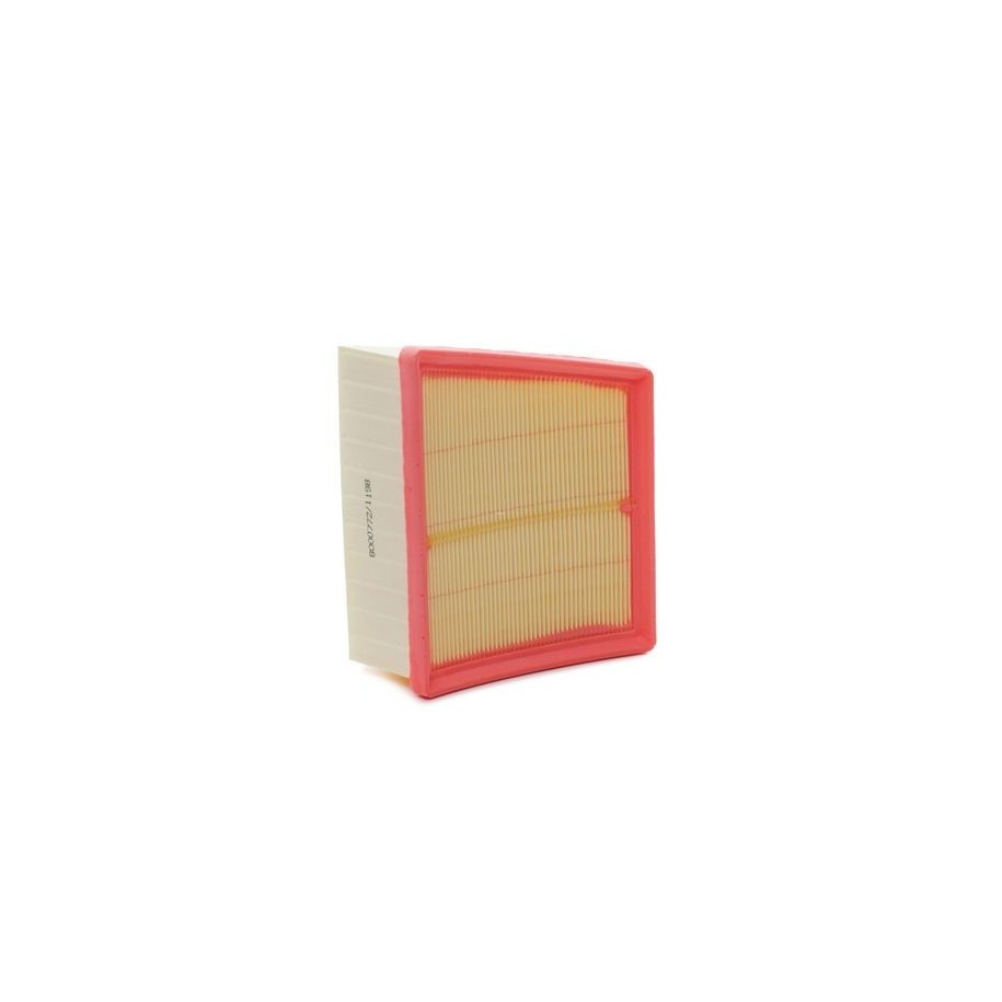 Air Filter - RIDEX 8A0250
