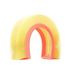 Air Filter - RIDEX 8A0173