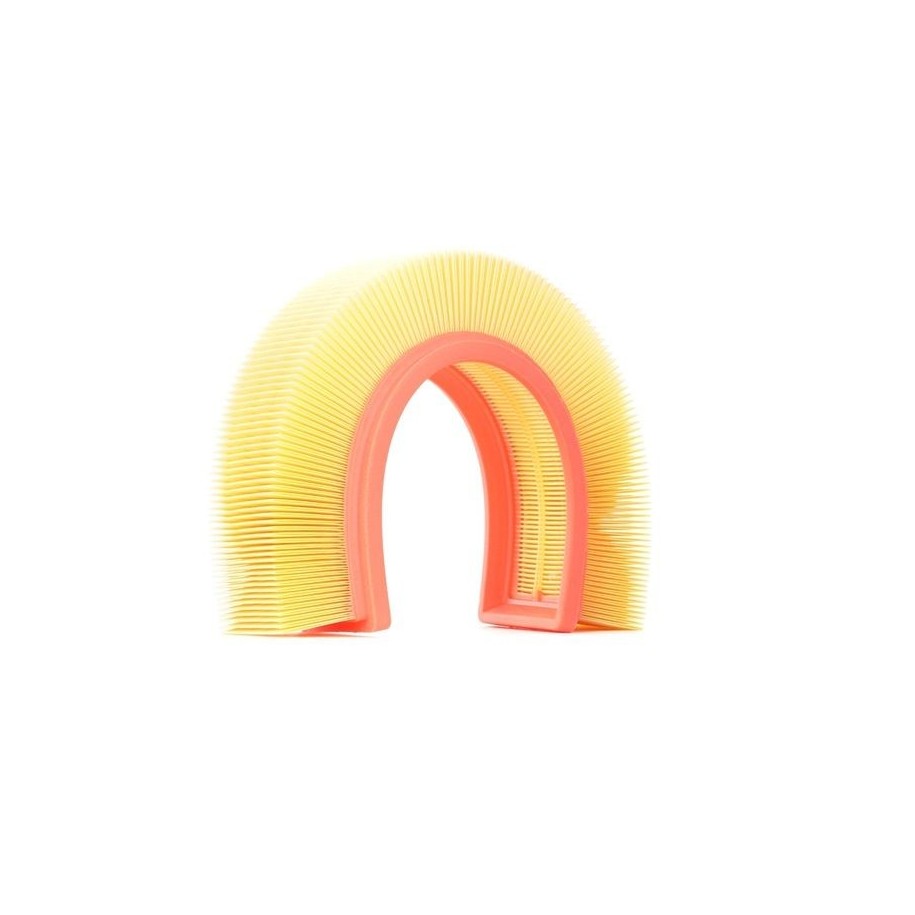 Air Filter - RIDEX 8A0173