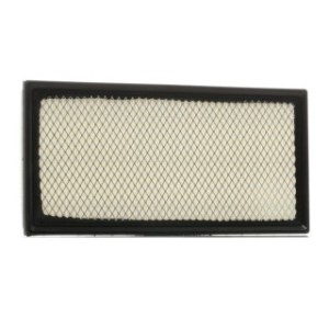 Air Filter - RIDEX 8A0166