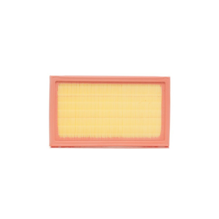 Air Filter - RIDEX 8A0120
