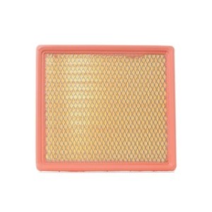 Air Filter - RIDEX 8A0057