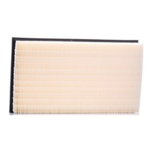 Air Filter - RIDEX 8A0041