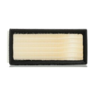 Air Filter - RIDEX 8A0091