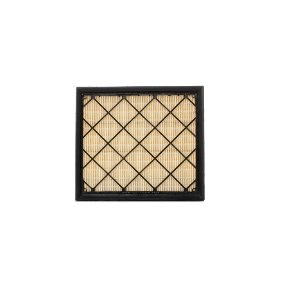 Air Filter - RIDEX 8A0254