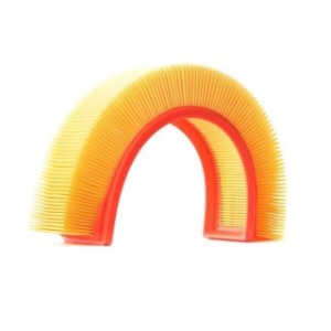 Air Filter - RIDEX 8A0123