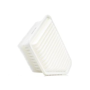 Air Filter - RIDEX 8A0255