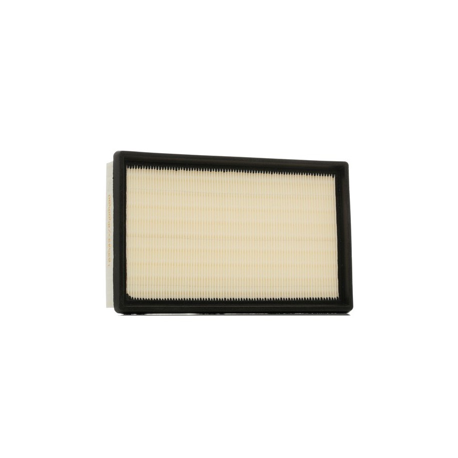 Air Filter - RIDEX 8A0125