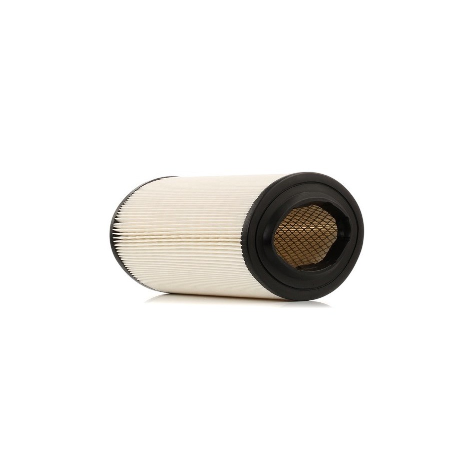 Air Filter - RIDEX 8A0253