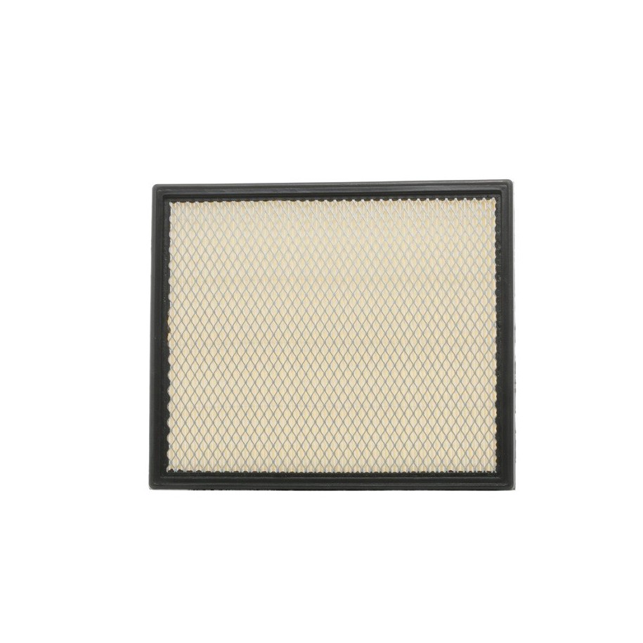 Air Filter - RIDEX 8A0109