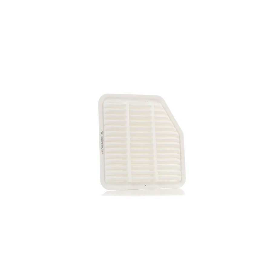 Air Filter - RIDEX 8A0163