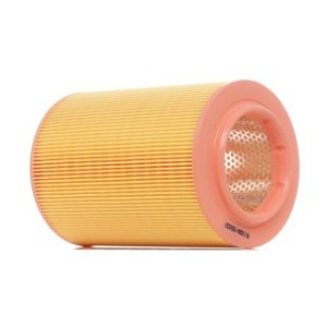 Air Filter - RIDEX 8A0134