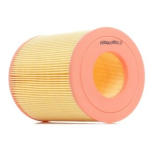 Air Filter - RIDEX 8A0094