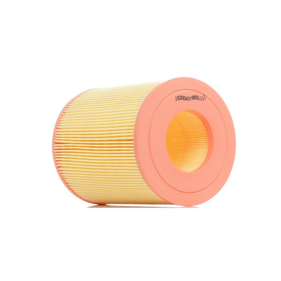 Air Filter - RIDEX 8A0094