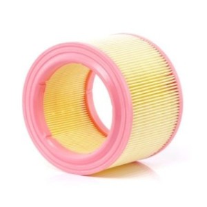 Air Filter - RIDEX 8A0267