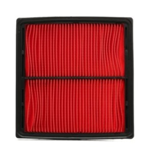 Air Filter - RIDEX 8A0077