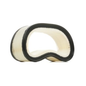 Air Filter - RIDEX 8A0193