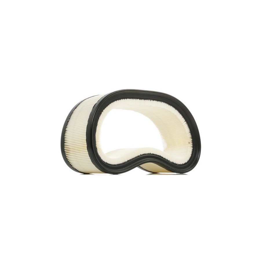 Air Filter - RIDEX 8A0193