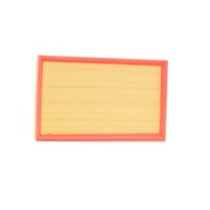 Air Filter - RIDEX 8A0113