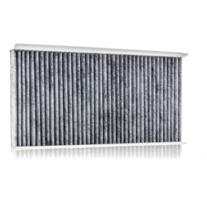Cabin Air Filter - RIDEX 424I0013