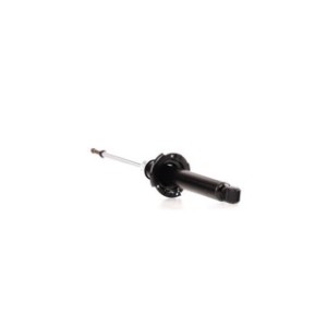 Shock Absorber - RIDEX 854S0082