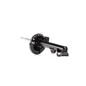Shock Absorber - RIDEX 854S0021