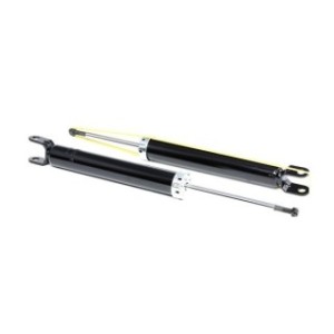 Shock Absorber - RIDEX 854S0891