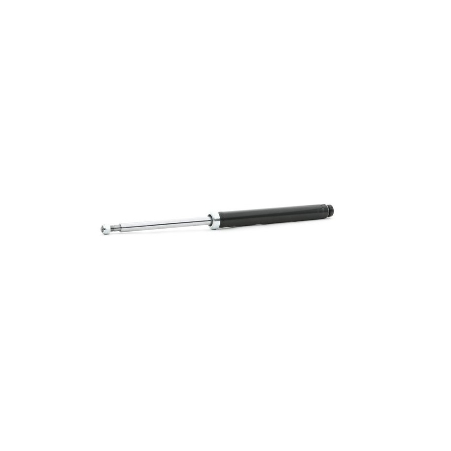Shock Absorber - RIDEX 854S1197