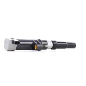 Ignition Coil - RIDEX 689C0002
