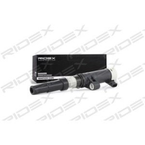 Ignition Coil - RIDEX 689C0002