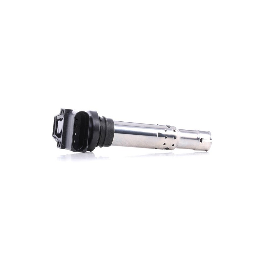Ignition Coil - RIDEX 689C0003