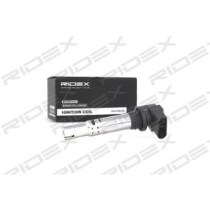 Ignition Coil - RIDEX 689C0003