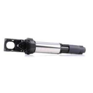 Ignition Coil - RIDEX 689C0005
