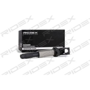 Ignition Coil - RIDEX 689C0005
