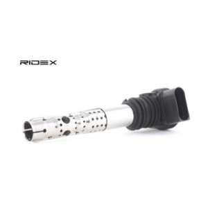 Ignition Coil - RIDEX 689C0006