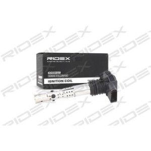 Ignition Coil - RIDEX 689C0006