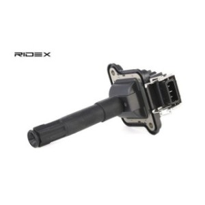 Ignition Coil - RIDEX 689C0008