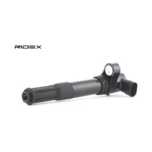 Ignition Coil - RIDEX 689C0009